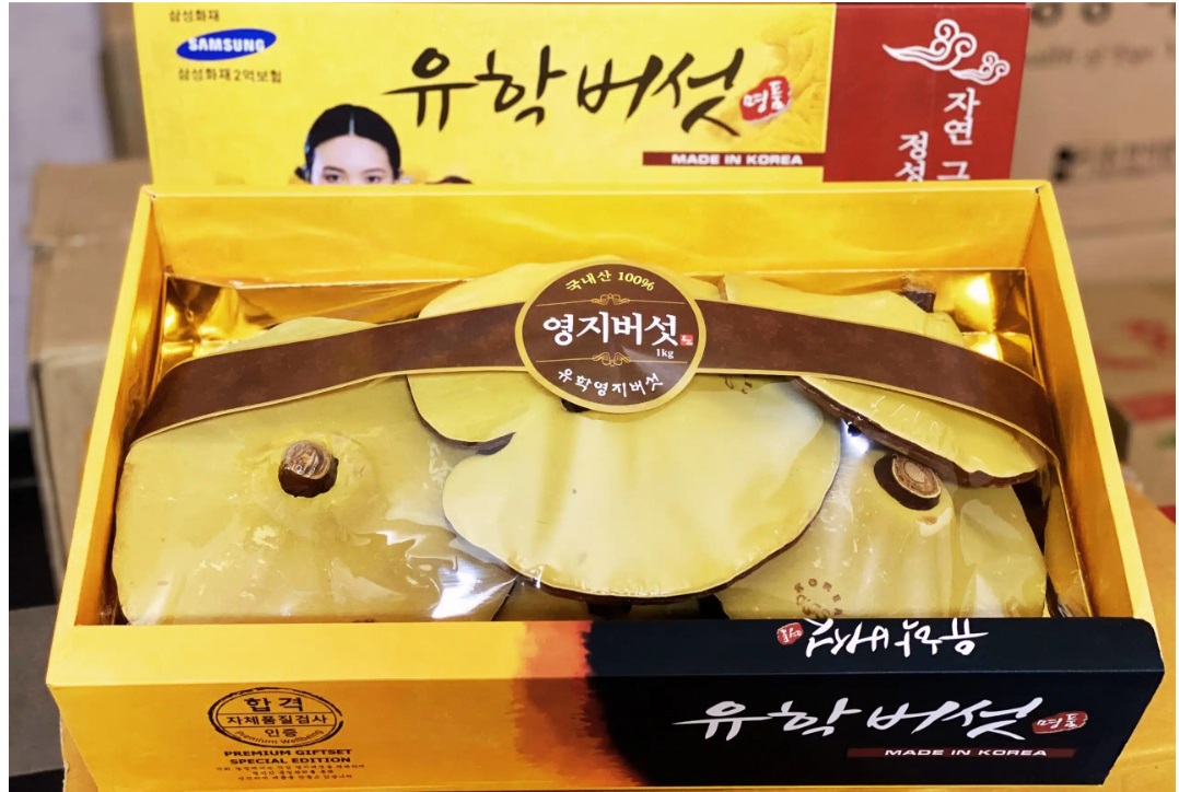 Nấm Linh Chi Cô Gái Hàn Quốc (Vàng Chanh) Loại 1 Kg